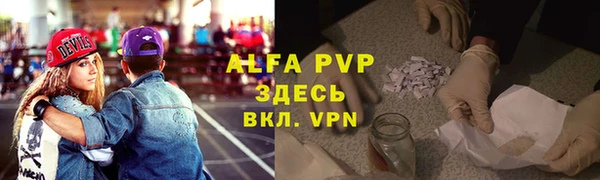 шишки Беломорск