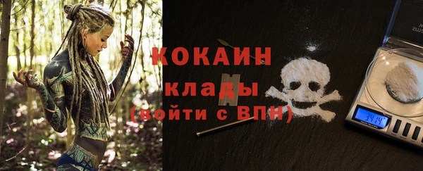 шишки Беломорск