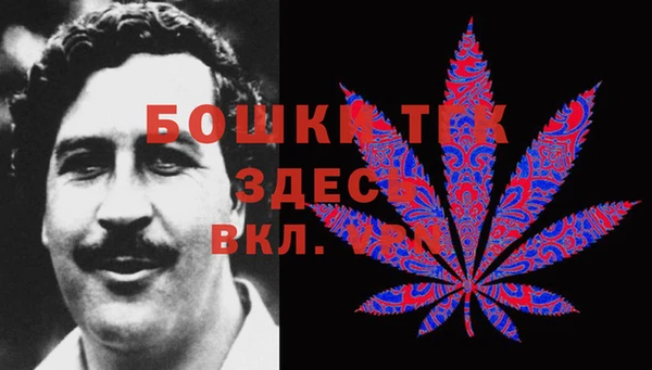 шишки Беломорск