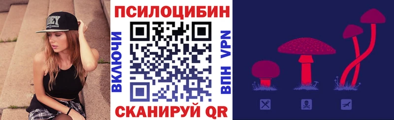 нарко площадка состав  Кущёвская  Псилоцибиновые грибы Cubensis  закладки 